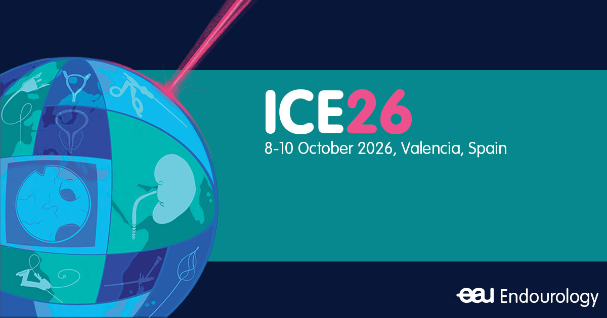Scientific Programme - ICE26